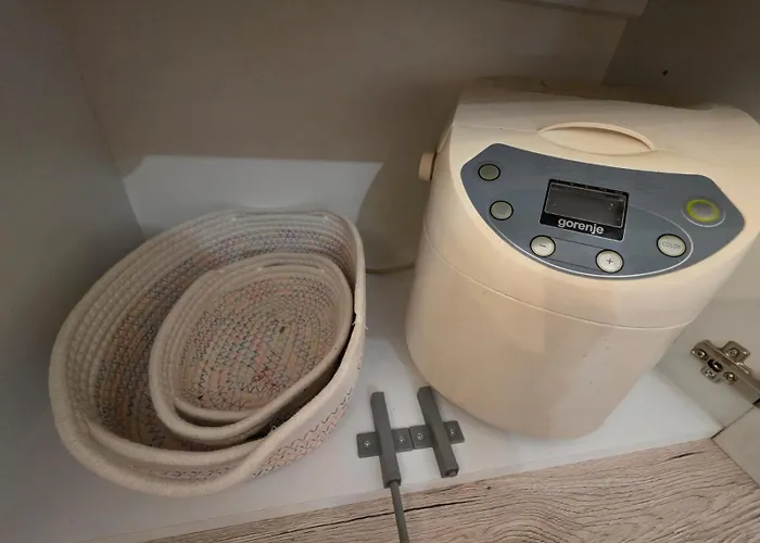 Pensionat Blue Timişoara